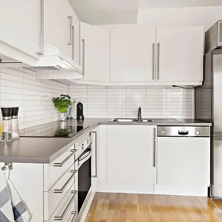 Flott Leilighet Pa Nygardshoyden